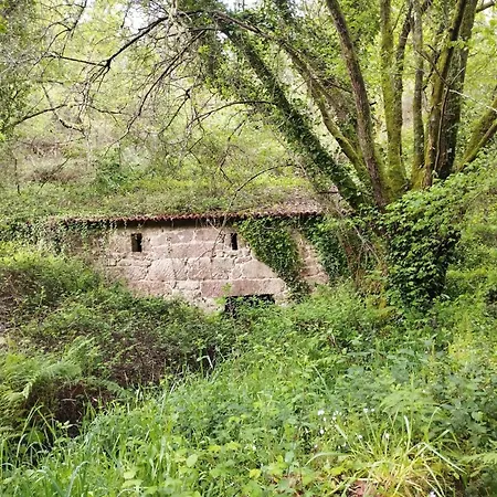 Casa-nieves Chalet *