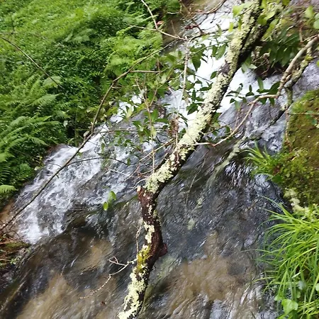 בקתה Casa-nieves Covas (Ourense)