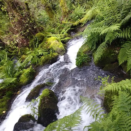 Casa-nieves Chalet Covas (Ourense)