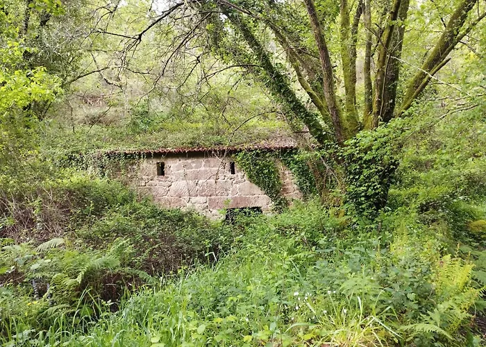 Casa-nieves בקתה *