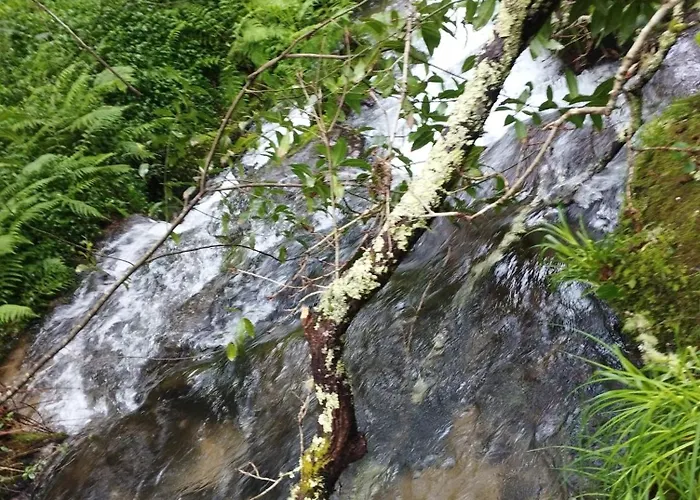 בקתה Casa-nieves Covas (Ourense)